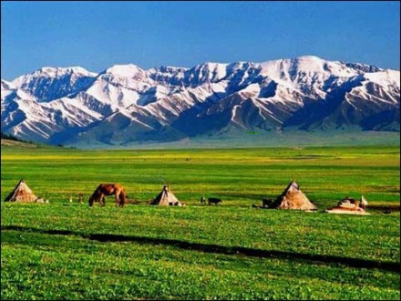 新疆维吾尔自治区第一产业增加值(亿元)